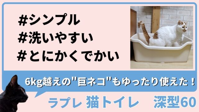 おすすめ大型猫トイレ｜リッチェルのラプレネコトイレ深型60は多頭飼いにも対応