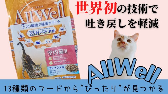 おすすめ猫砂/比較あり】トフカスサンドKが猫と飼い主に最適な理由５つ｜ねこラボ