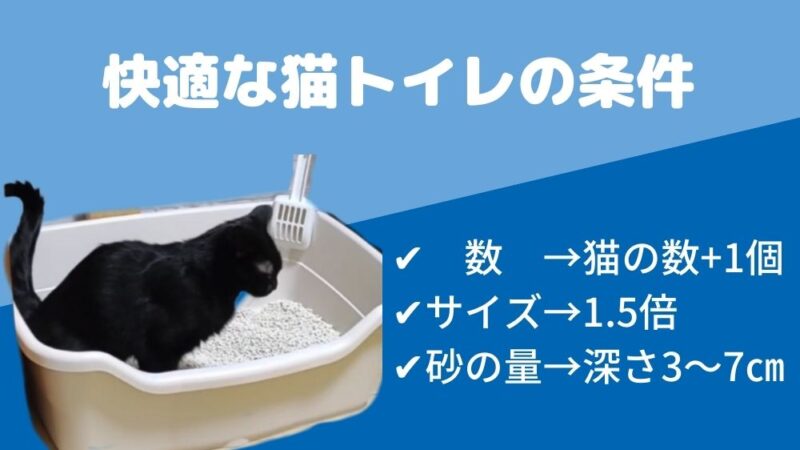 快適な猫トイレの条件は数が猫の数＋1個あることと、サイズは猫の1，5倍、砂の量は深さ3～7㎝であることです。