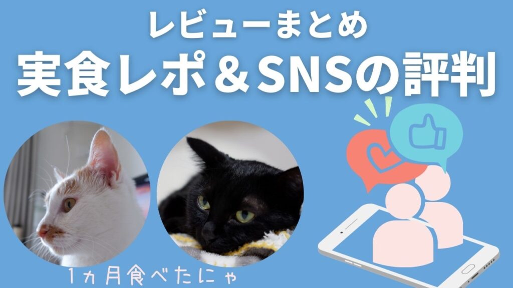 実際に猫が食べた様子とSNSの口コミや評判をまとめました。SNSはTwitter・インスタグラムなどです。