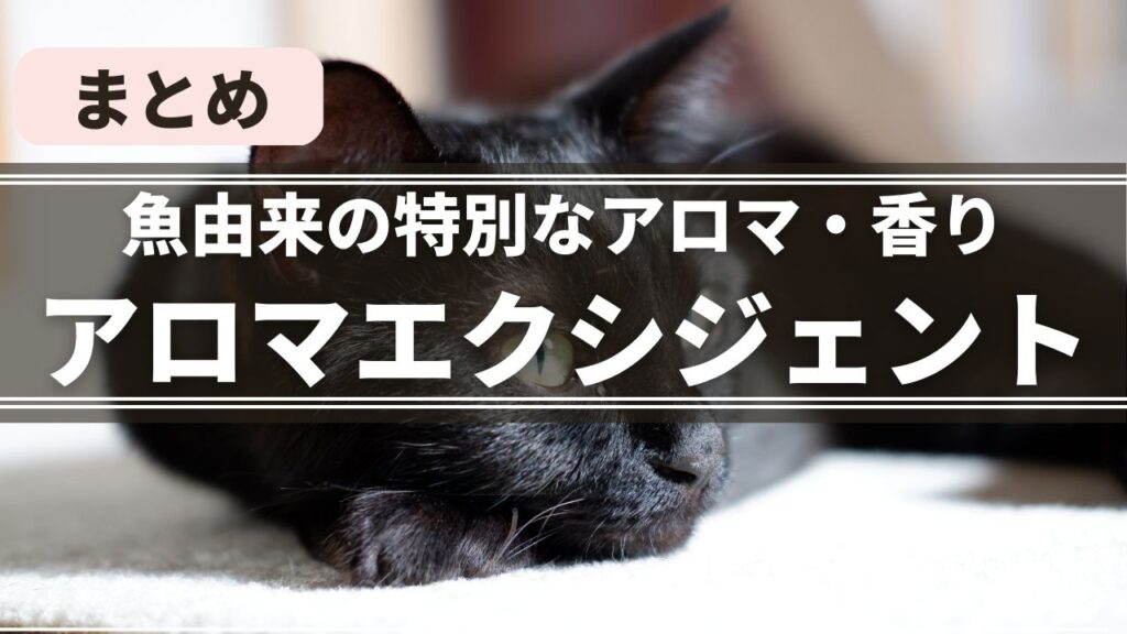 食べない・食べムラがある猫にロイヤルカナンのアロマエクシジェントがおすすめです。