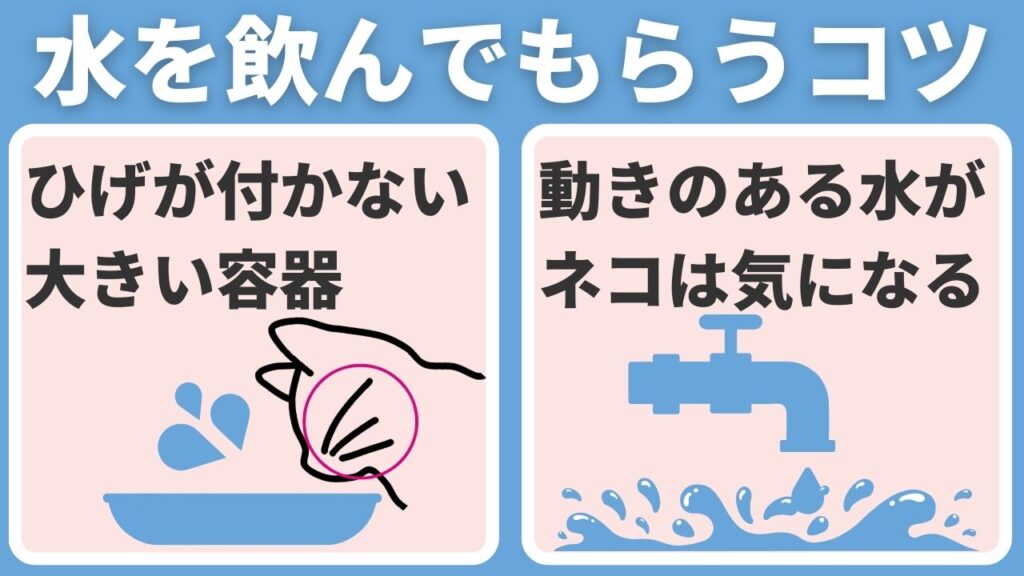 猫に水を飲んでもらうコツは2つです。ひげが付かない容器、動きのある水を用意いします。