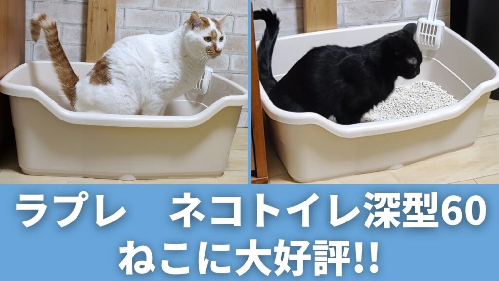 ラプレ ネコトイレ 深型 60フード付 猫用トイレ 猫 おしゃれ 大型 大きめ 飛び散らない 隠すフルカバー ドーム型 リッチェル