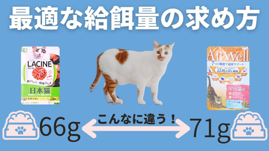 ねこの健康維持のために、適切な給餌量を計算しましょう。