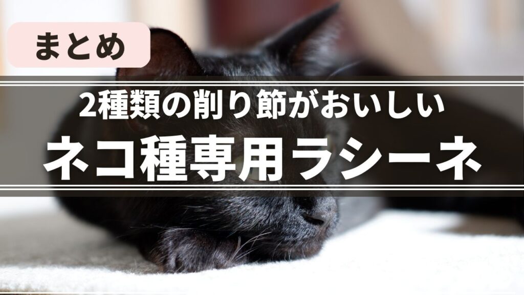 ラシーネは猫の食いつき抜群の猫種専用キャットフード