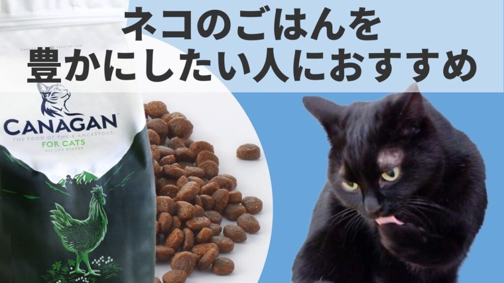 カナガンのキャットフードは猫のごはんを今より豊かにしたい飼い主にぴったりです。