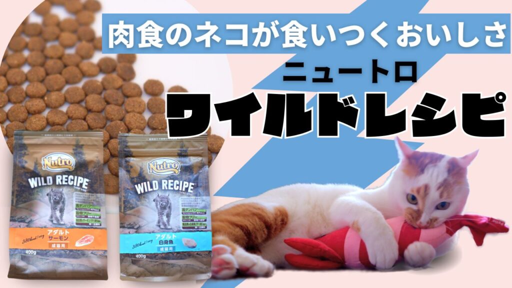 nutroのwild recipeを実体験を元にメリット・デメリットを紹介します。