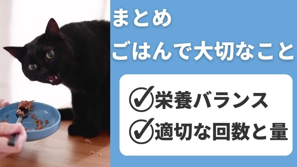 食事管理で大切なことは、栄養バランスと適切な回数と量です。