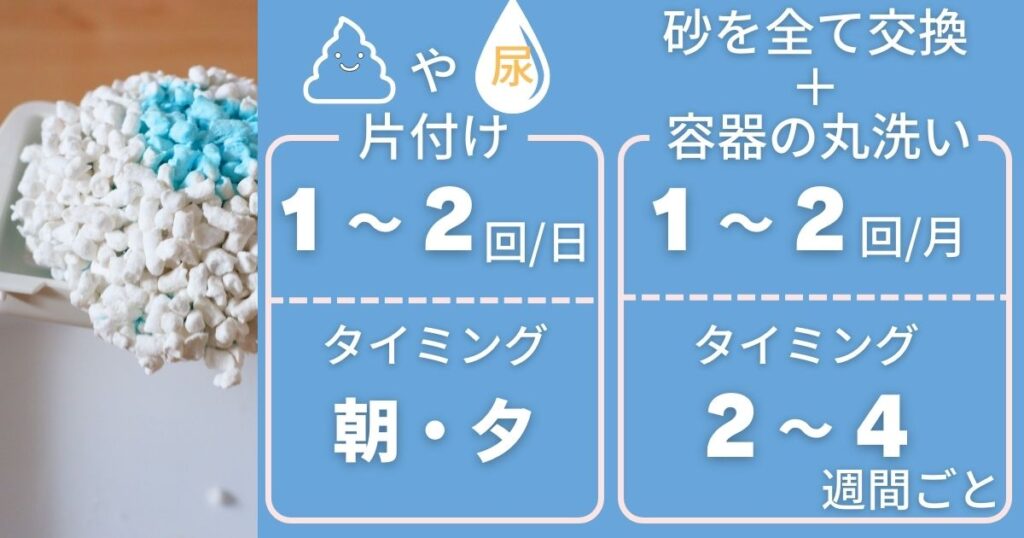 ネコ用トイレの掃除のポイント