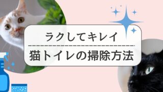 猫トイレの掃除頻度は？適切なタイミングと掃除方法をくわしく解説！