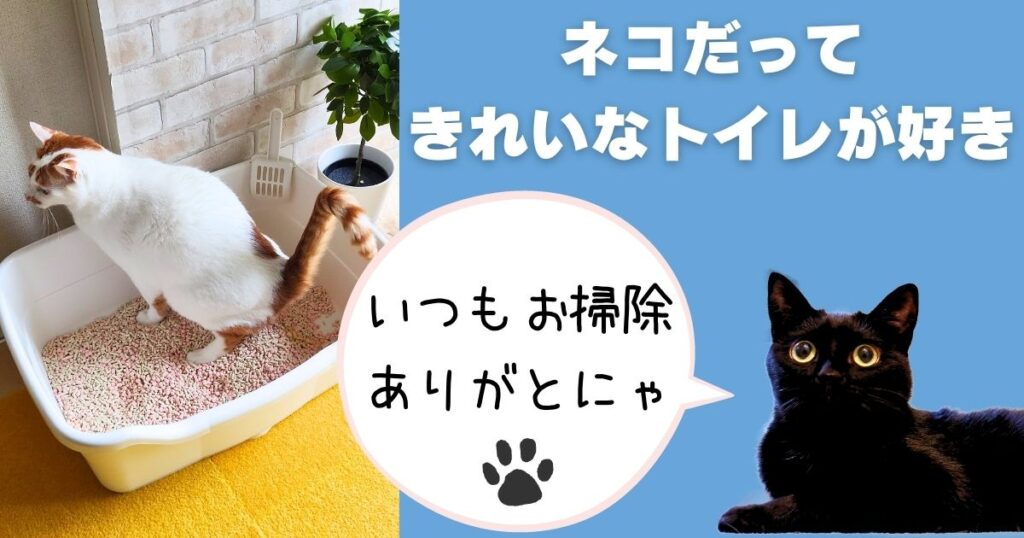 ねこ用トイレ掃除のまとめ。ネコもきれいなトイレで排泄したい。