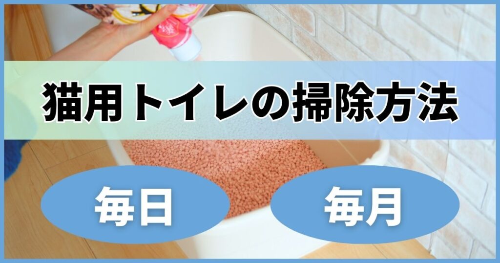 猫のトイレ掃除の仕方。毎日と毎月でコツを紹介