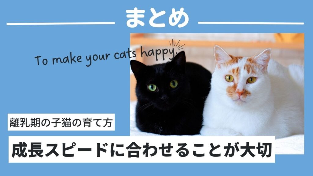 子ネコに離乳食を食べさせるために、成長スピードに合わせて行うことが大切。