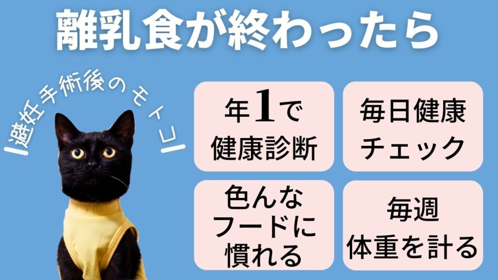 子ネコの離乳食が終わったらやること4つ