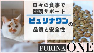 ピュリナワンは安全性とコスパが最強！猫が喜ぶキャットフードの選び方も解説