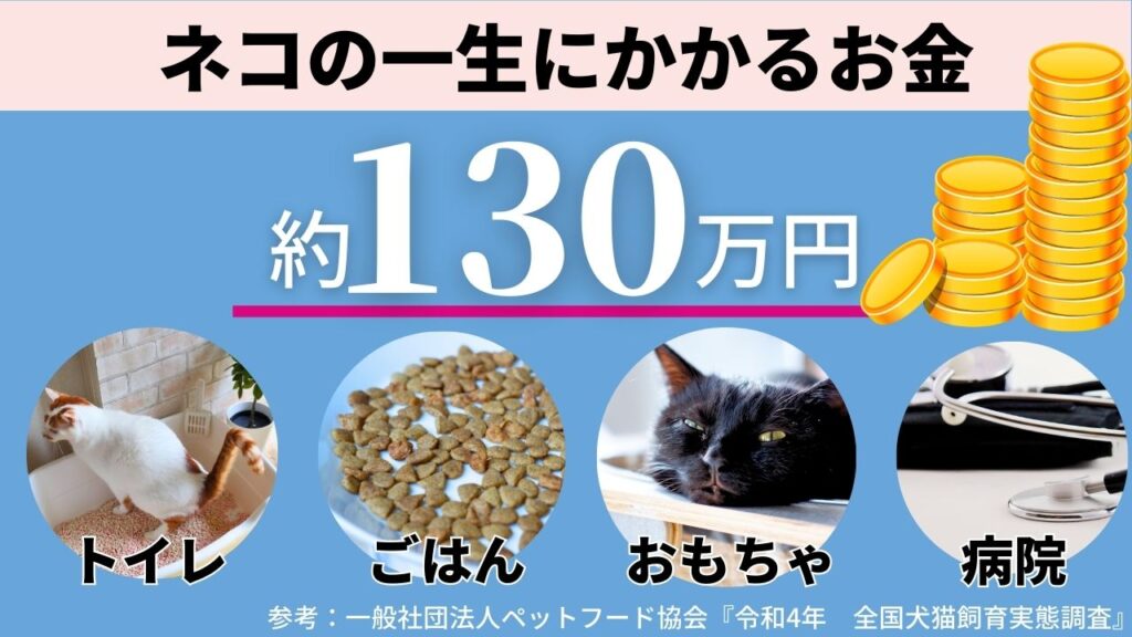 猫を飼うにはお金がかかります。