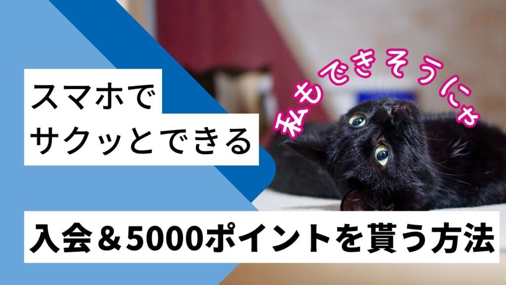 楽天カードの入会方法と入会キャンペーンの5,000ポイントをもらう方法。