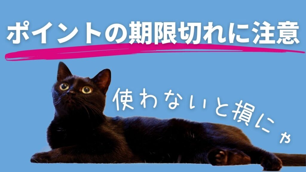 楽天カードで貯めたポイントの期限切れに注意