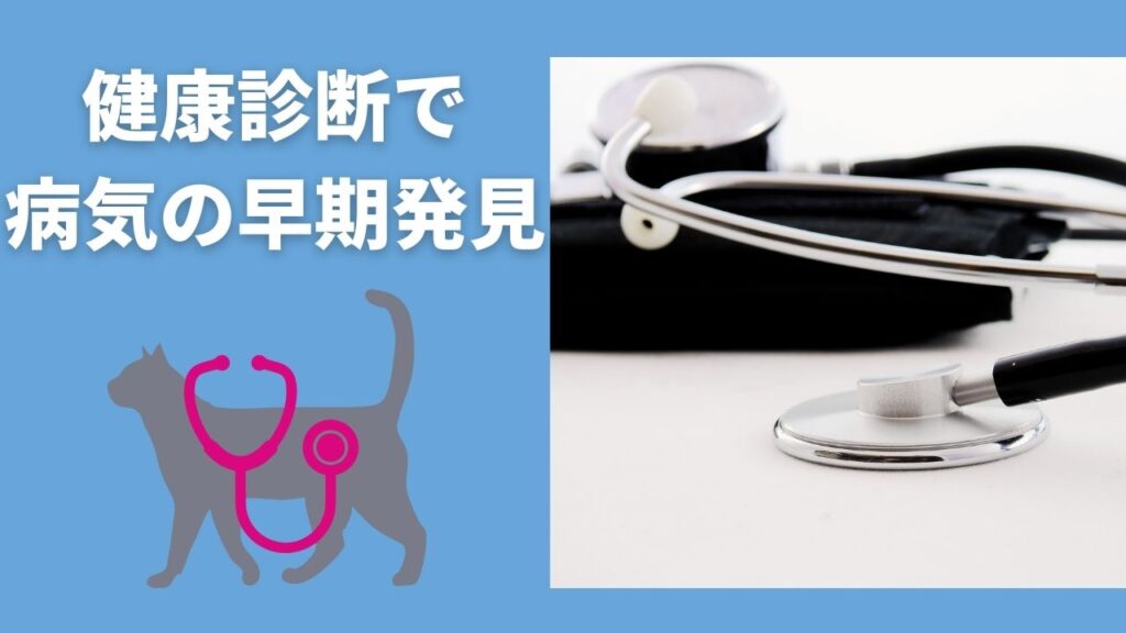 猫も健康維持のために定期的な健康診断を受けさせよう