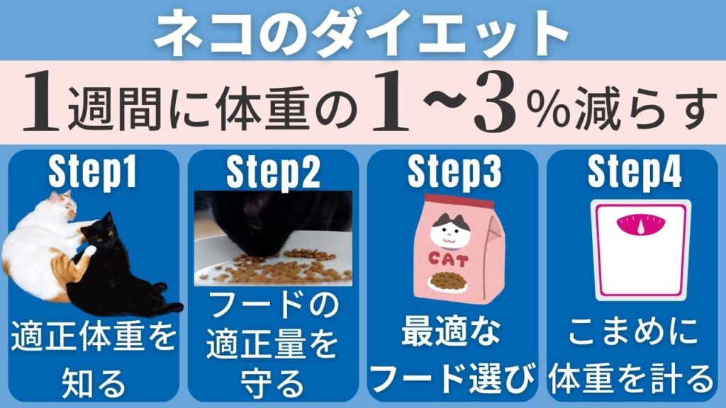 ねこのダイエット方法について。体重コントロールが大切