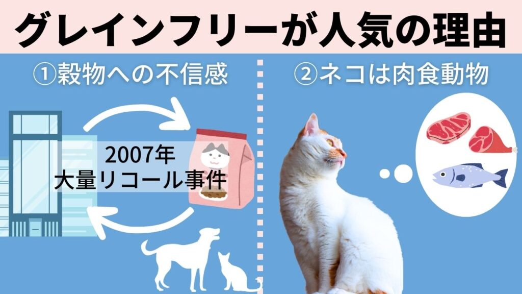 愛猫家にグレインフリーのキャットフードが人気の理由