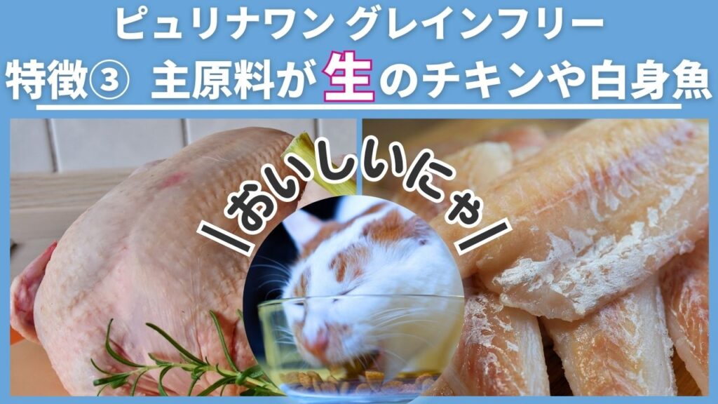 猫用ピュリナワンのグレインフリーキャットフードの特徴の3つめは主原料が生のチキンや白身魚ということです。ねこがよく食べます。