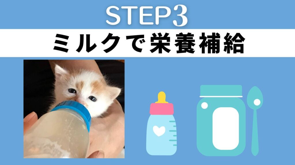 子猫用のミルクを満足するまで与える